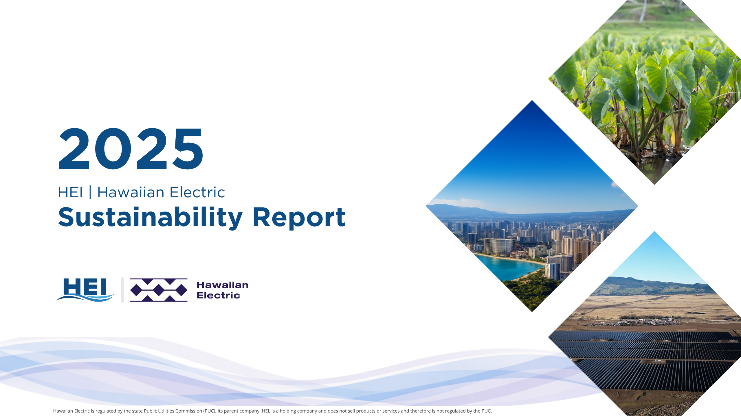 cover page of the ESG 